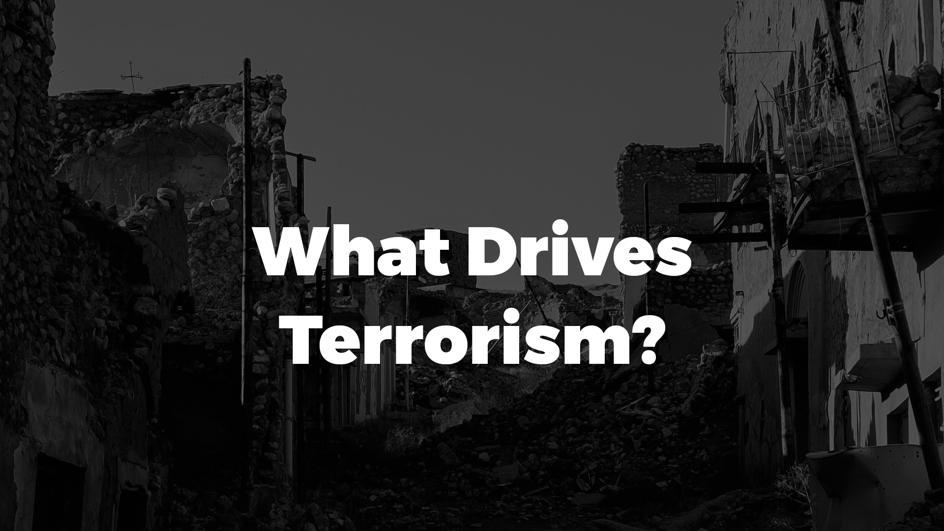 What Drives Terrorism?